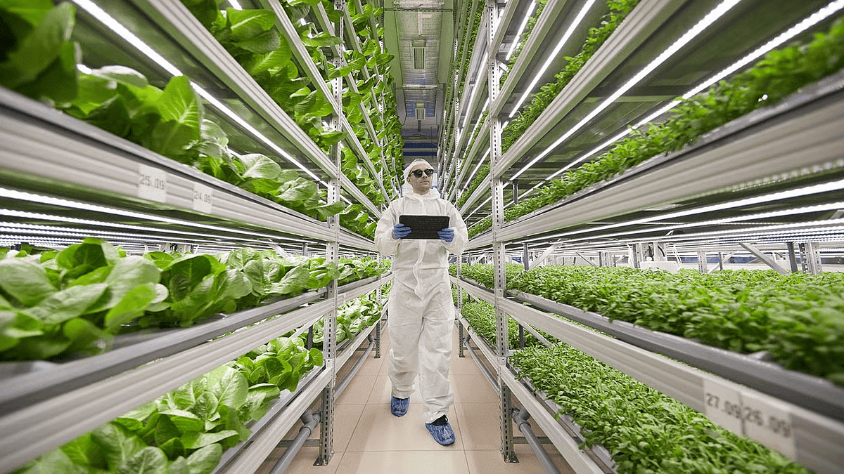 UAE launches national initiative for climate-smart crops to boost food security