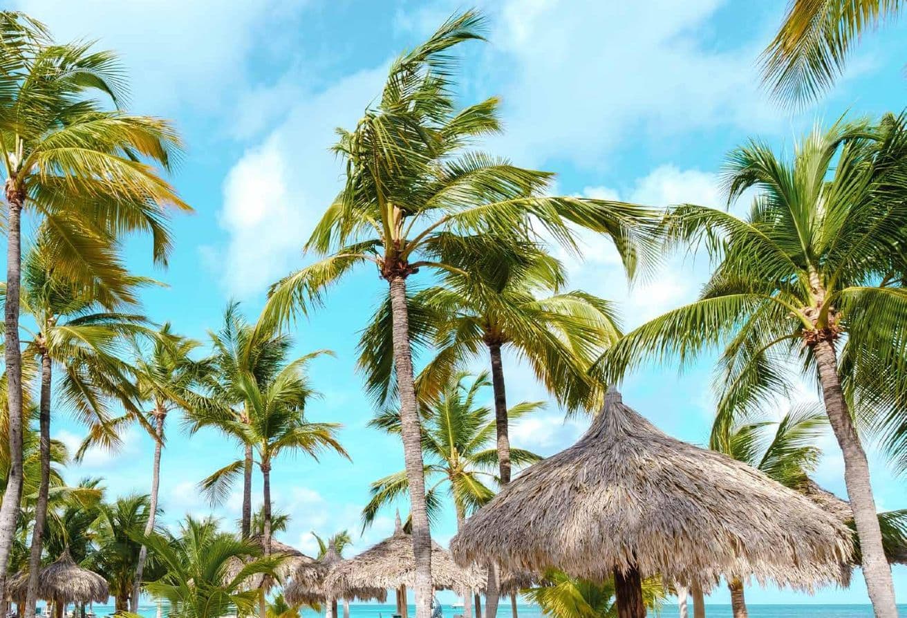 Luxury Island Living | Tropical | Prime Investment